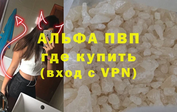 стаф Алексин