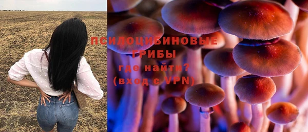 MESCALINE Алзамай