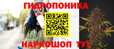 гашишное масло Новокубанск