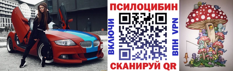дарнет шоп Электрогорск дарк нет состав Галлюциногенные грибы Cubensis