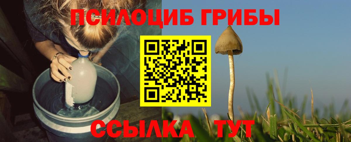 Псилоцибиновые грибы ЛСД Электрогорск